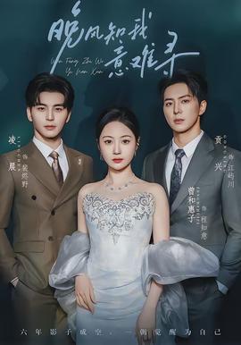 晚风知我意难寻封面图