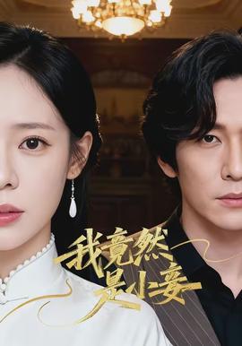 我竟然是小妾封面图