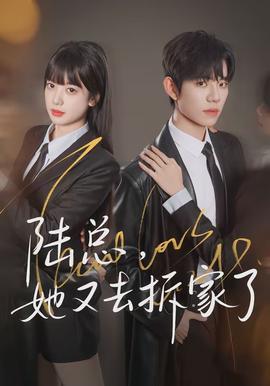 陆总，她又去拆家了封面图