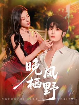 晚风栖野封面图