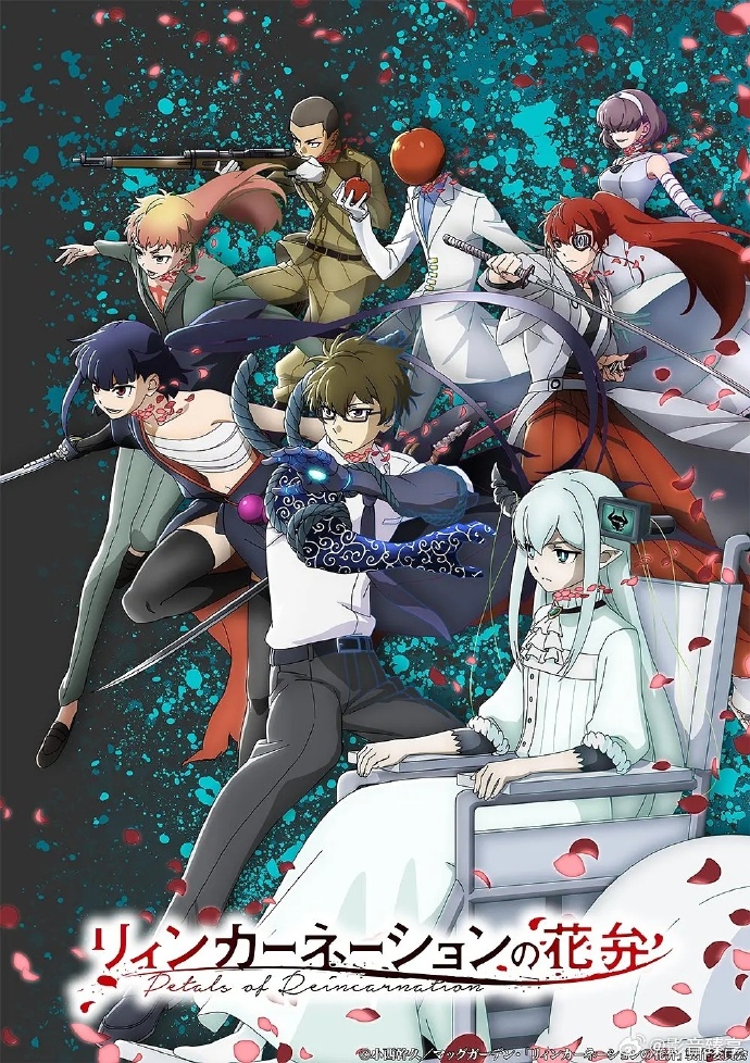 轮回的花瓣封面图