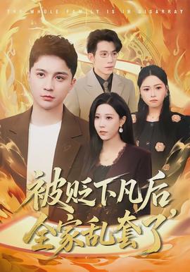 被贬下凡后全家乱套了封面图