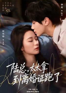 陆总，太太拿到离婚证跑了封面图
