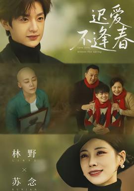迟爱不逢春封面图