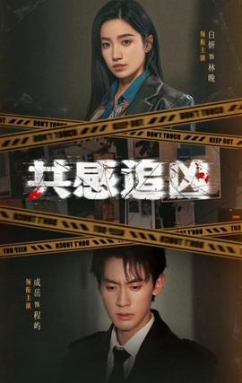 共感追凶封面图