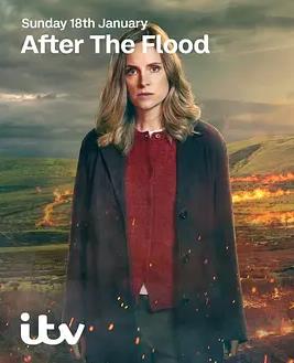 洪水之后第二季封面图