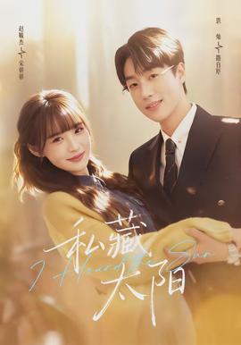 私藏太阳封面图