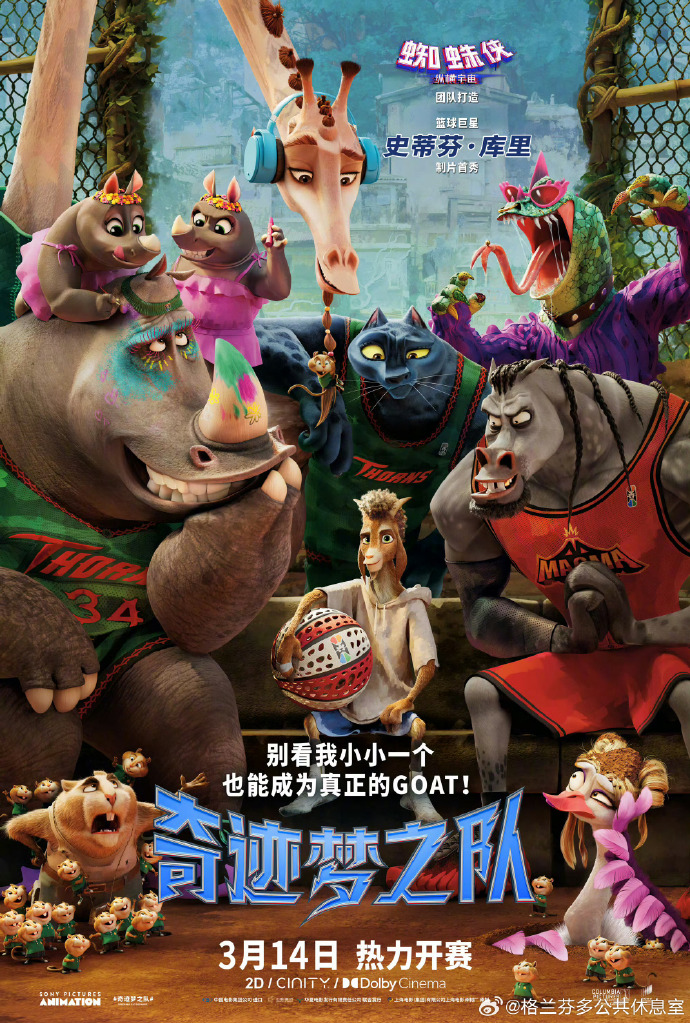 奇迹梦之队封面图