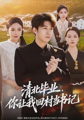 清北毕业，你让我回村当书记封面图
