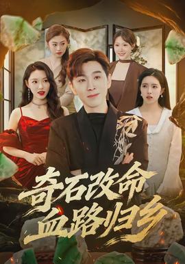 奇石改命血路归乡封面图