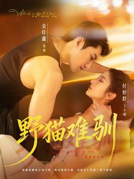野猫难驯封面图