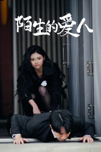 陌生的爱人封面图