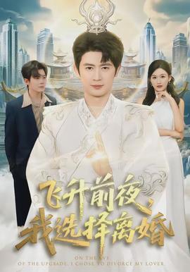 飞升前夜，我选择离婚封面图