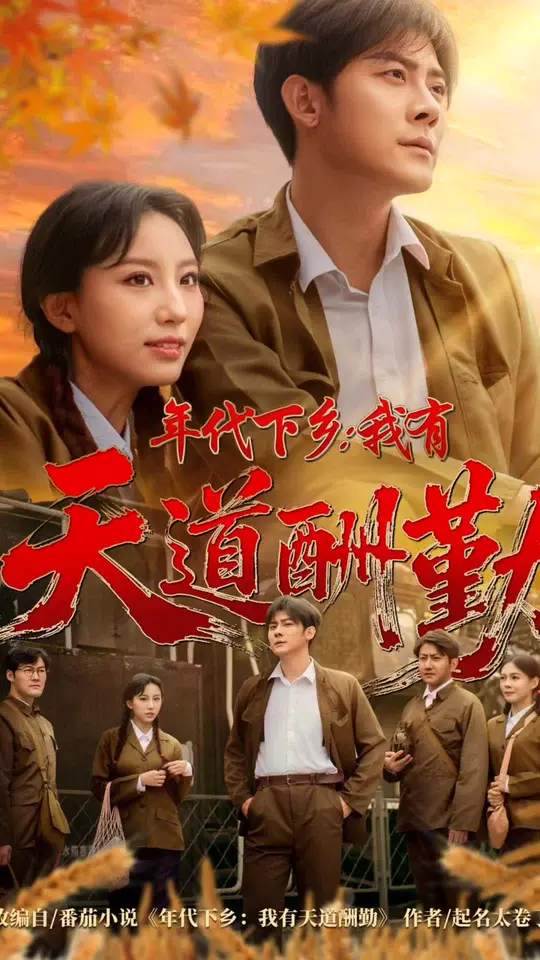 年代下乡我有天道酬勤封面图