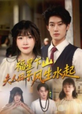 福星下山夫人日子风生水起封面图