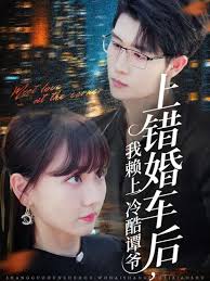 上错婚车后我赖上冷酷谭爷封面图