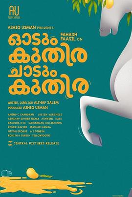 一匹马奔跑，一匹马跳跃封面图