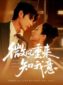 微风重来知我意封面图