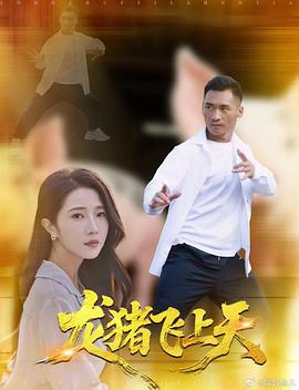 龙猪飞上天封面图