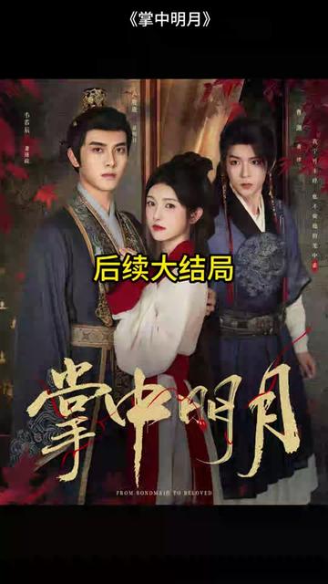 掌中明月封面图