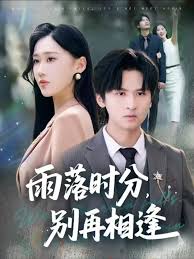 雨落时分别再相逢封面图