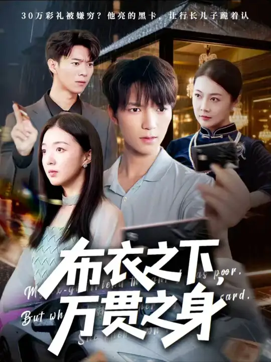 布衣之下万贯之身封面图