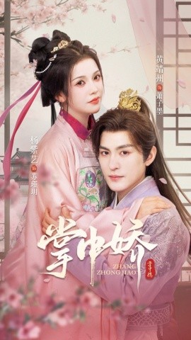 掌中娇94集封面图