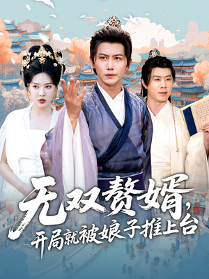 无双赘婿开局就被娘子推上台封面图