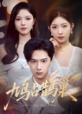 鸠占鹊巢&顶流夫人的致命陷阱封面图