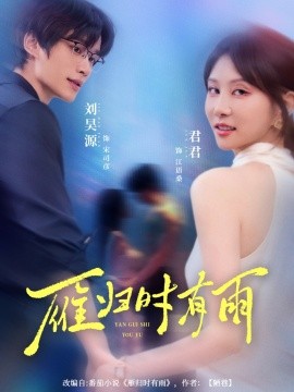 雁归时有雨封面图