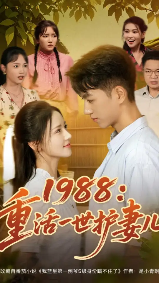 1988重活一世护妻儿封面图