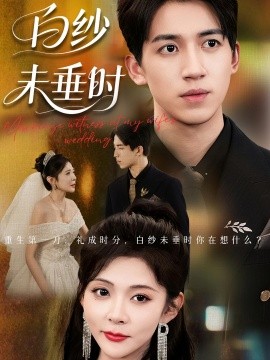 老婆婚礼我当证婚人封面图