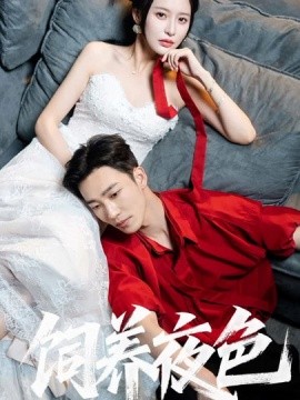 饲养夜色封面图