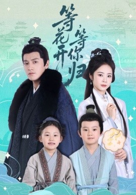 等花开 等你归封面图