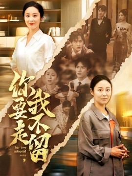 你要走我不留封面图