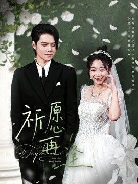 祈愿再逢封面图