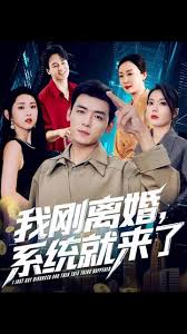 我刚离婚系统就来了封面图