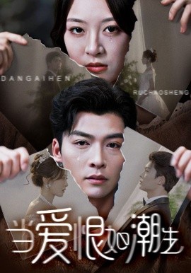 当爱恨如潮生封面图