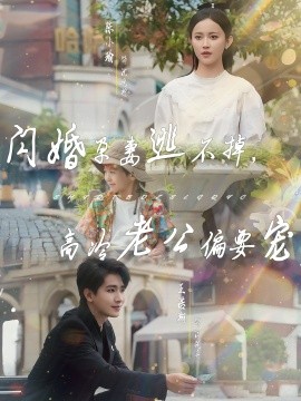 闪婚孕妻逃不掉，高冷老公偏要宠封面图