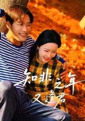 知非之年又逢君封面图