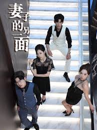 妻子的另一面封面图