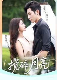 搅碎月亮封面图