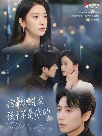 沈先生我们复合好不好封面图