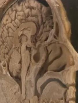 追踪人性之恶封面图