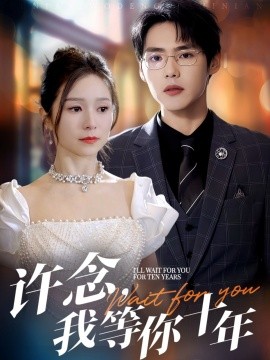 许念，我等你十年封面图
