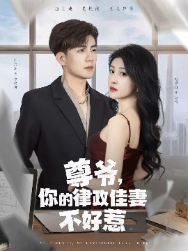 尊爷，你的律政娇妻不好惹封面图