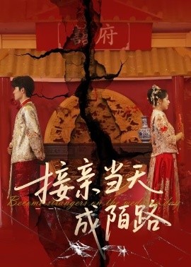 接亲当天成陌路封面图