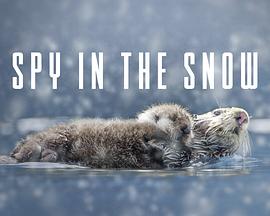 冰雪间谍封面图