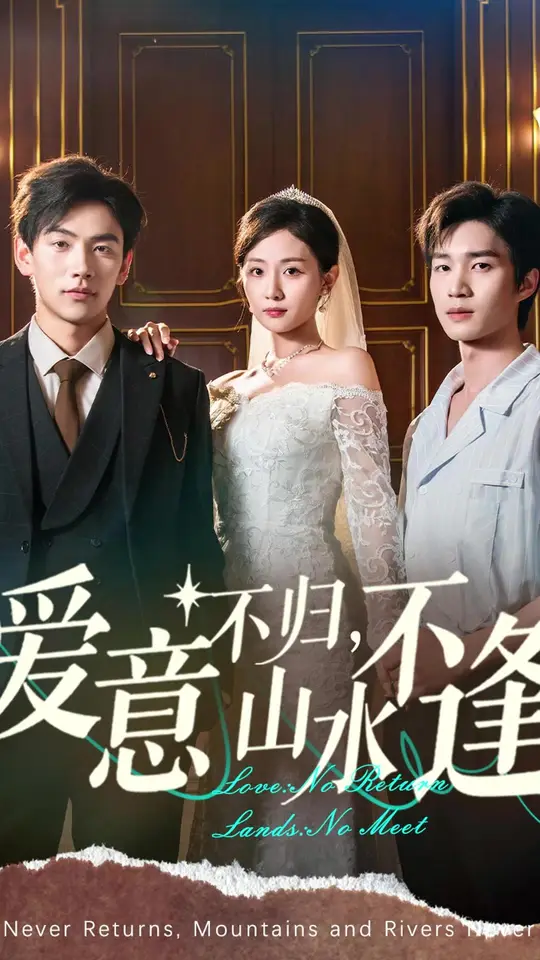 爱意不归山水不逢封面图