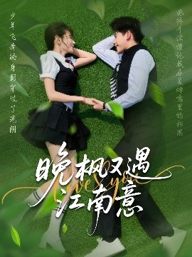 晚枫又遇江南意封面图